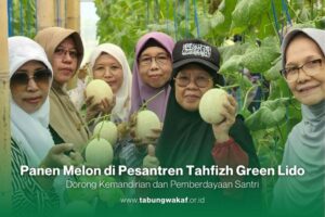 Panen Melon di Pesantren Tahfiz Green Lido Sukabumi